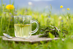 Quels sont les meilleurs thés à déguster au printemps ?